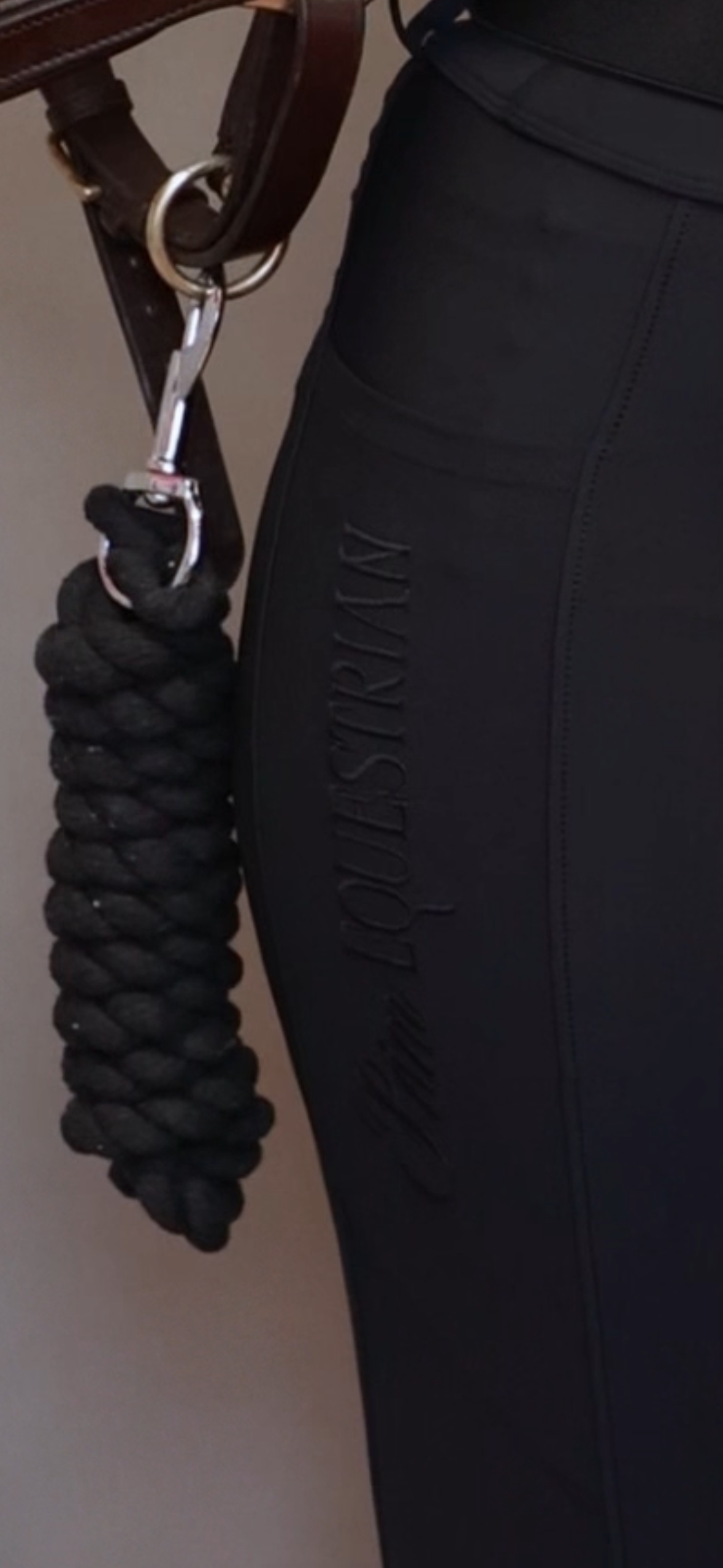 Signature Crest Riding Leggings